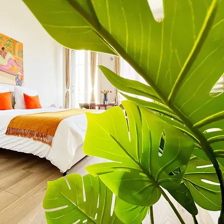 Appartement Luna Lyon